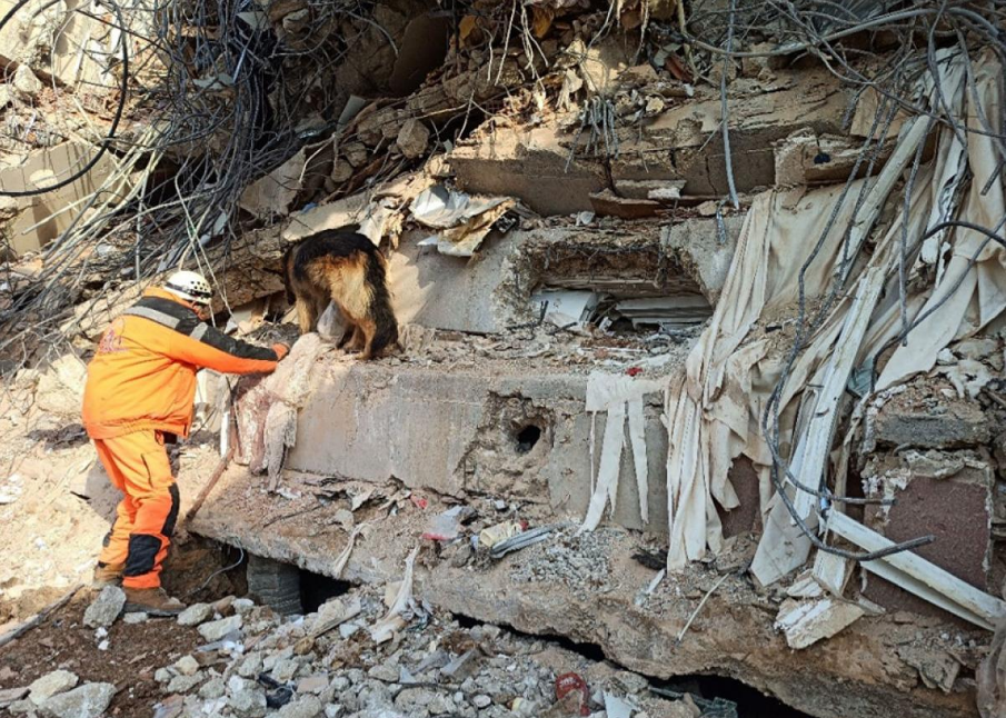 Lehoczki László és Hope a Törökországi földrengés helyszínén